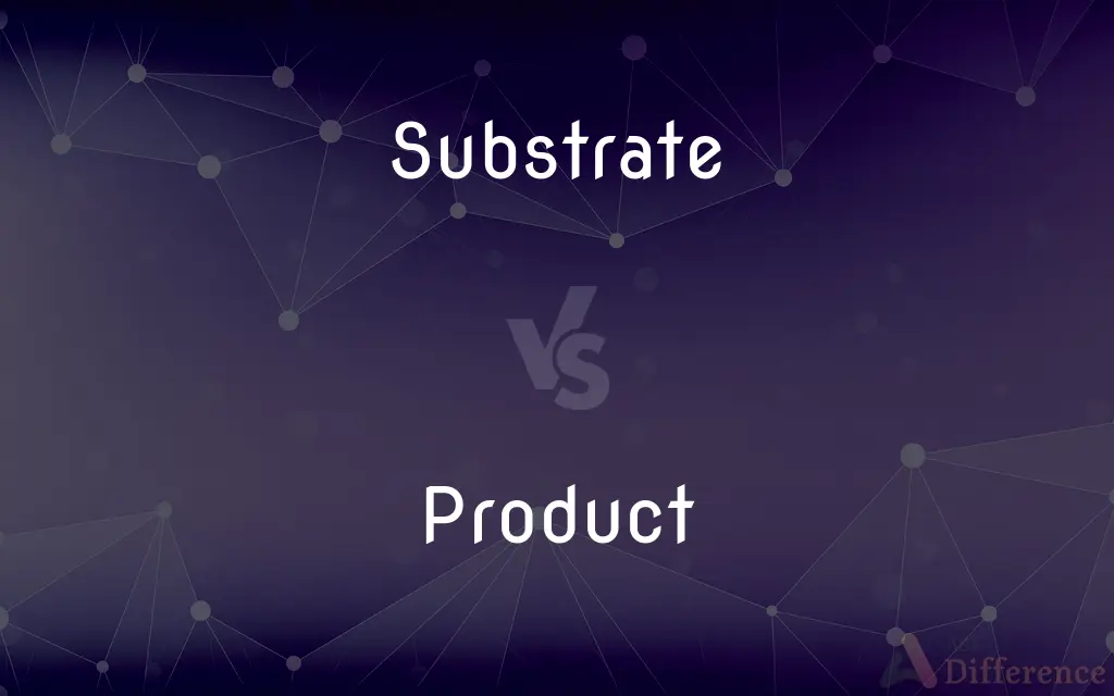 Substrate vs. Product — What's the Difference?