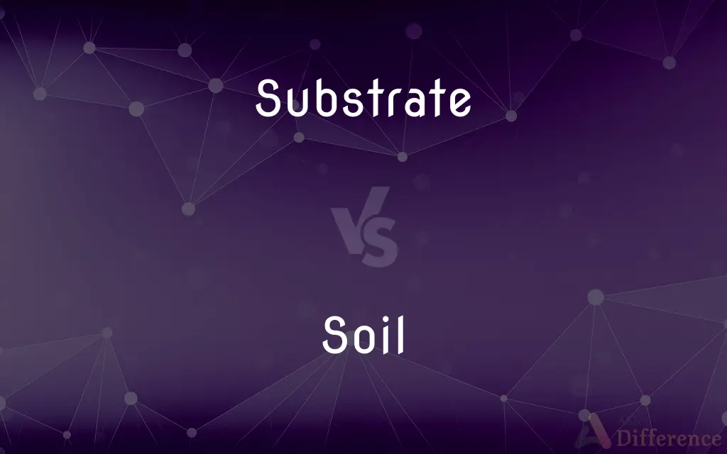 Substrate vs. Soil — What's the Difference?