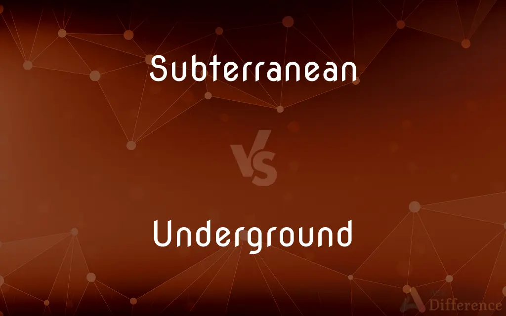 Subterranean vs. Underground — What's the Difference?