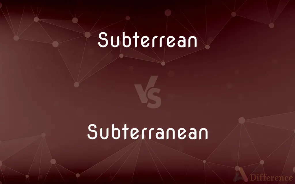Subterrean vs. Subterranean — Which is Correct Spelling?