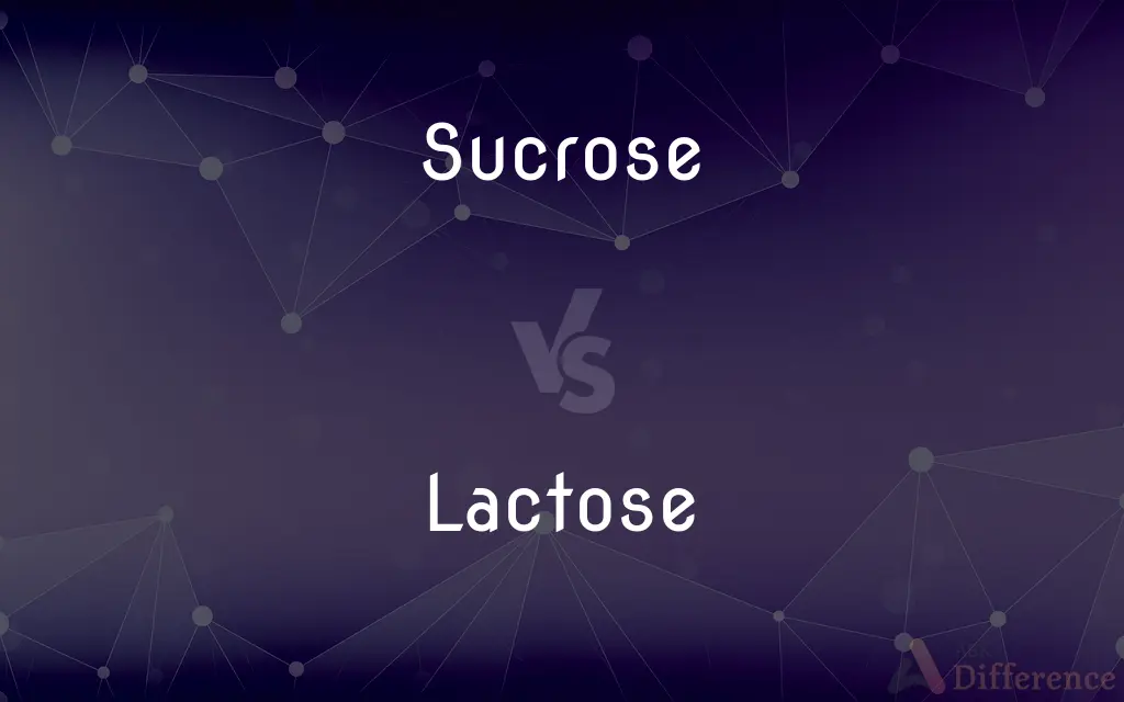 Sucrose vs. Lactose — What's the Difference?