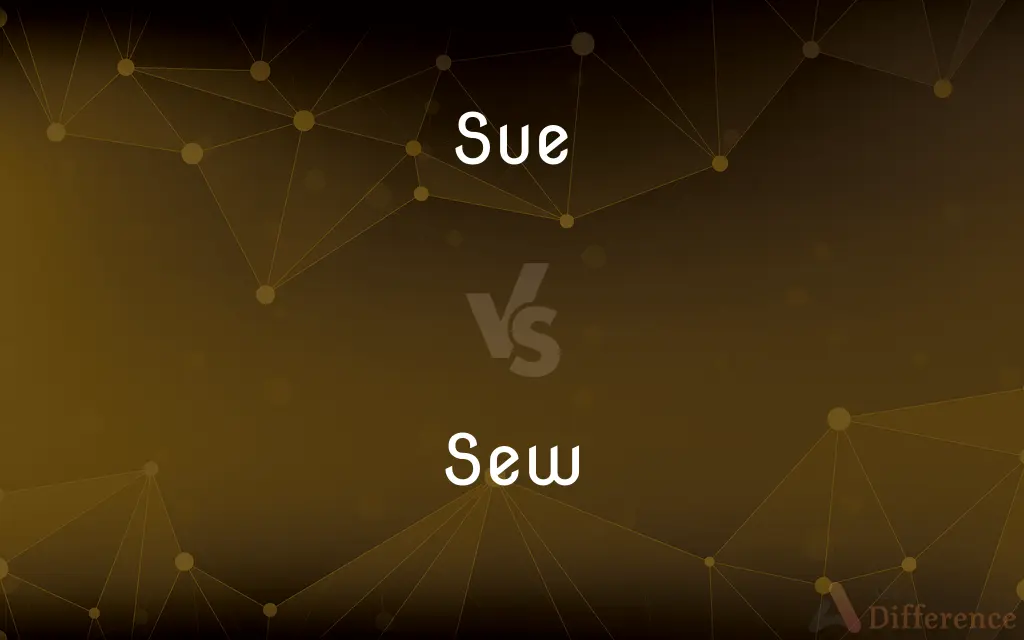 Sue vs. Sew — What's the Difference?