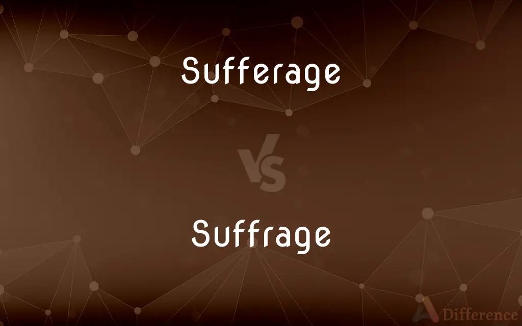 Sufferage vs. Suffrage — Which is Correct Spelling?