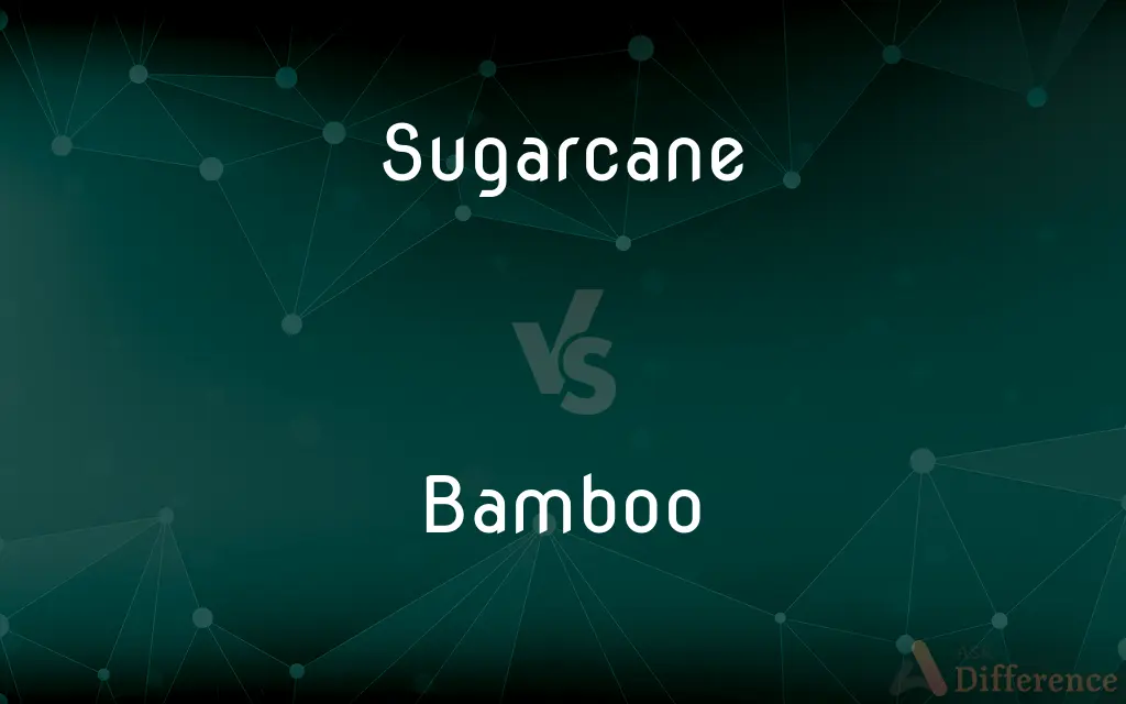 Sugarcane vs. Bamboo — What's the Difference?
