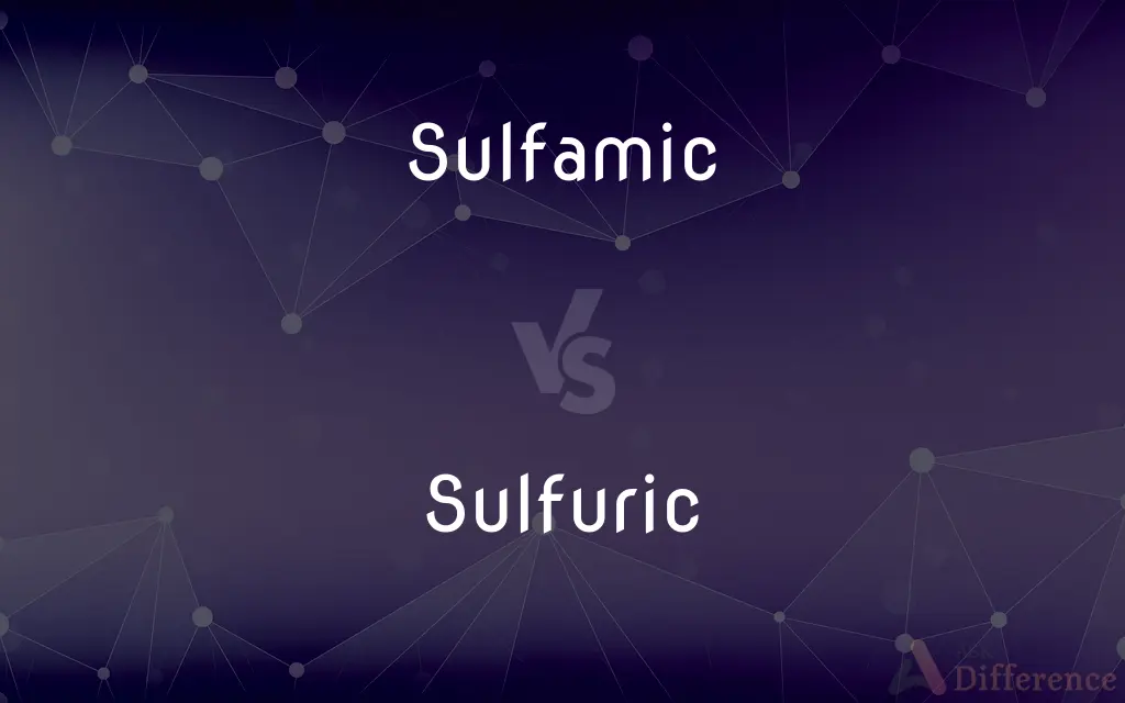 Sulfamic vs. Sulfuric — What's the Difference?