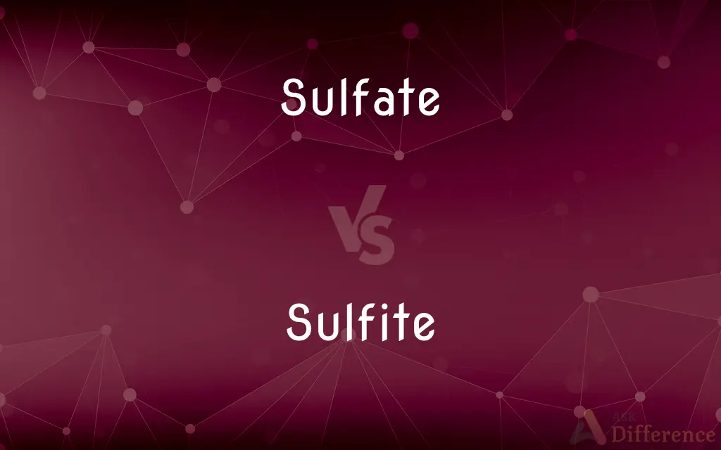 Sulfate vs. Sulfite — What's the Difference?