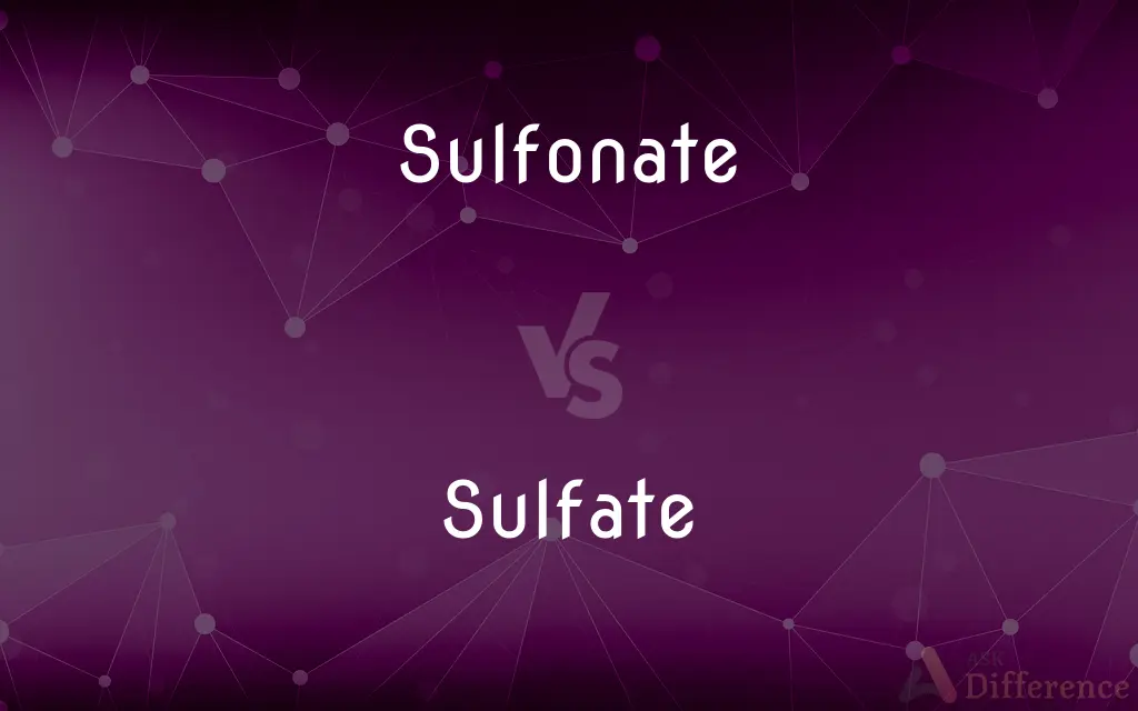 Sulfonate vs. Sulfate — What's the Difference?