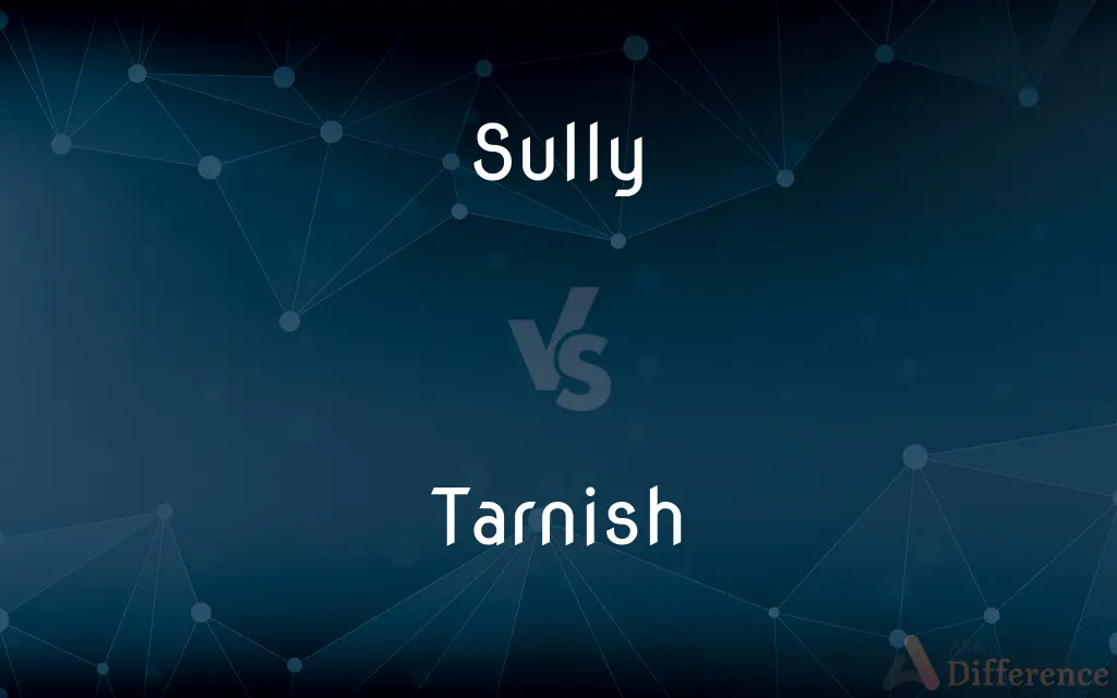 Sully vs. Tarnish — What's the Difference?