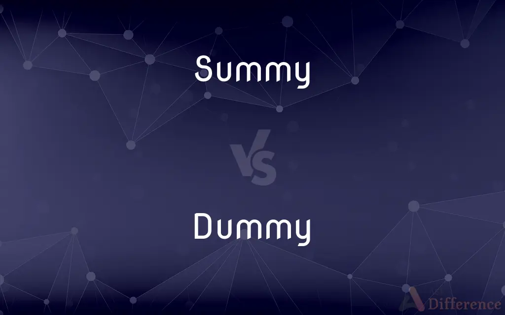 Summy vs. Dummy — What's the Difference?