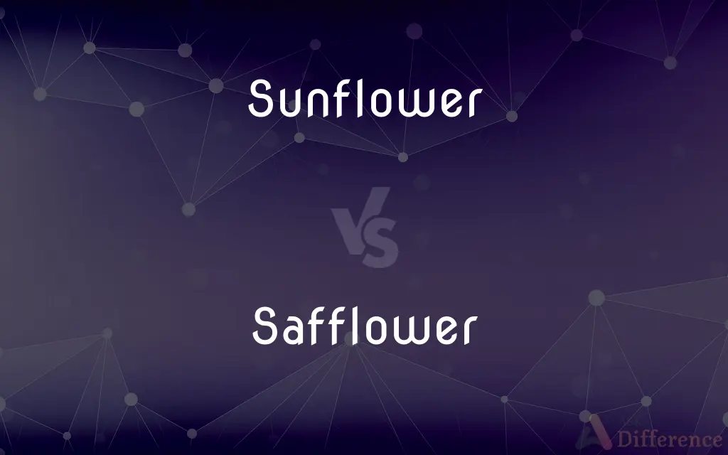 Sunflower vs. Safflower — What's the Difference?