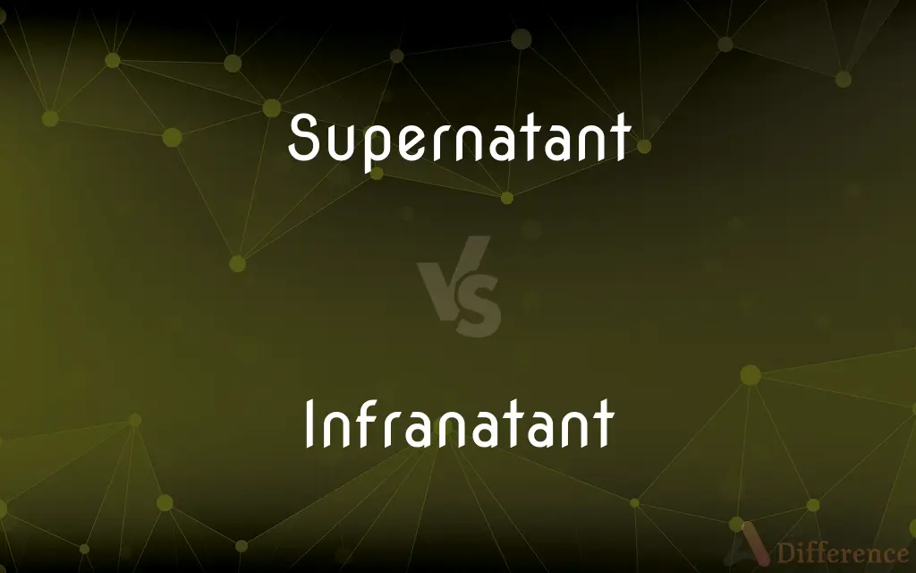Supernatant vs. Infranatant — What's the Difference?
