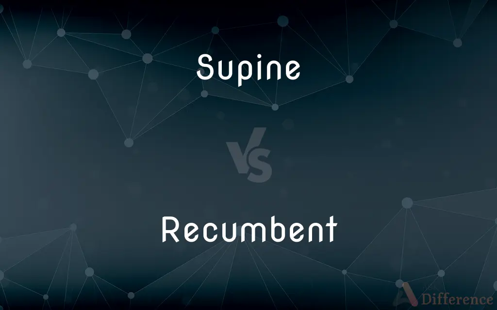 Supine vs. Recumbent — What's the Difference?