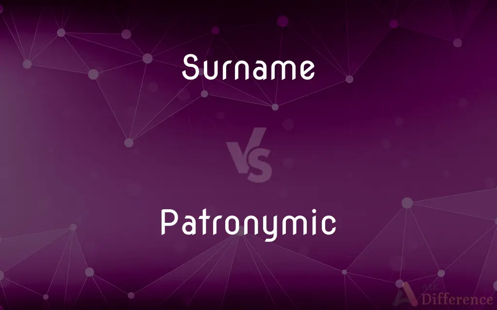 Surname vs. Patronymic — What's the Difference?
