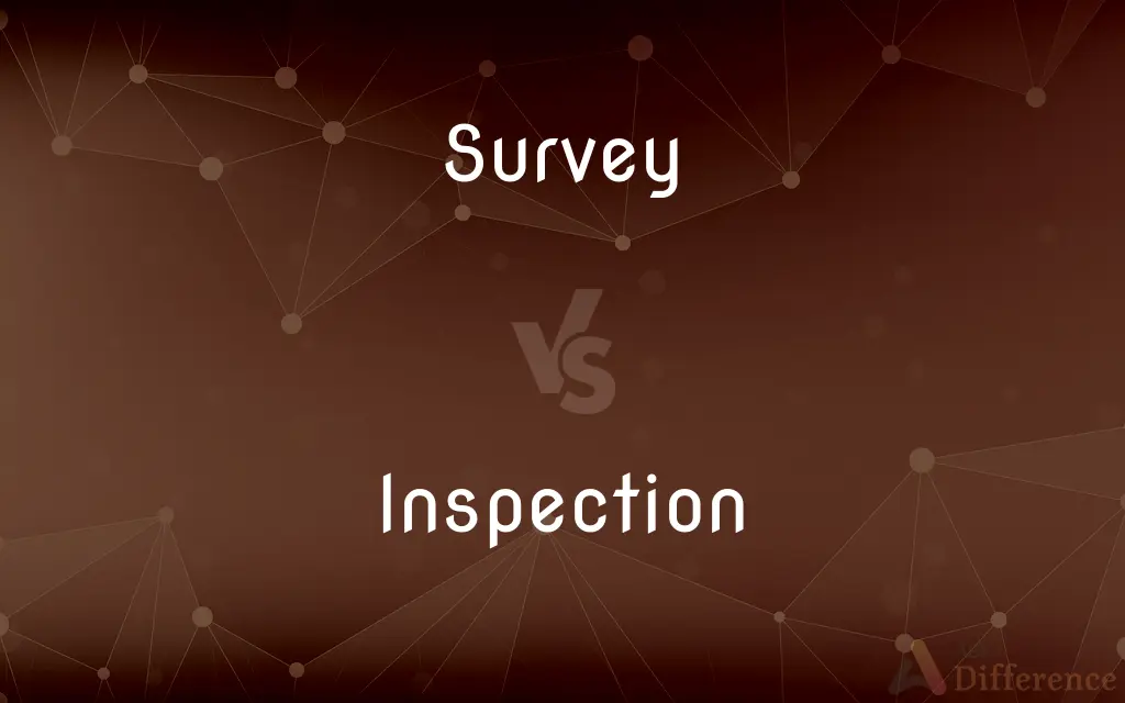 Survey vs. Inspection — What's the Difference?