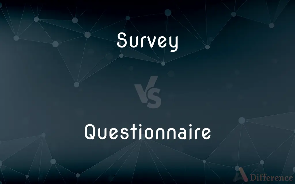 Survey vs. Questionnaire — What's the Difference?