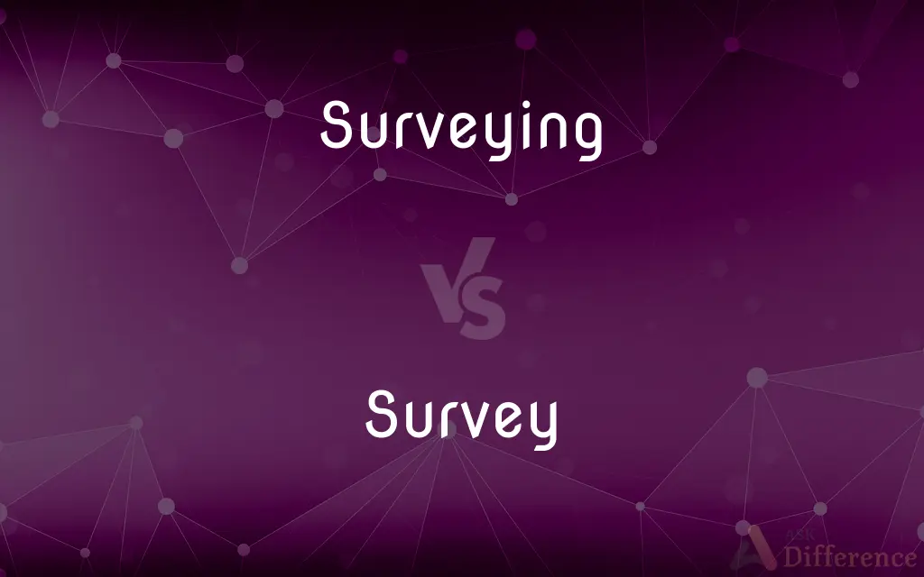 Surveying vs. Survey — What's the Difference?