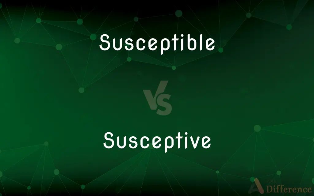 Susceptible vs. Susceptive — What's the Difference?