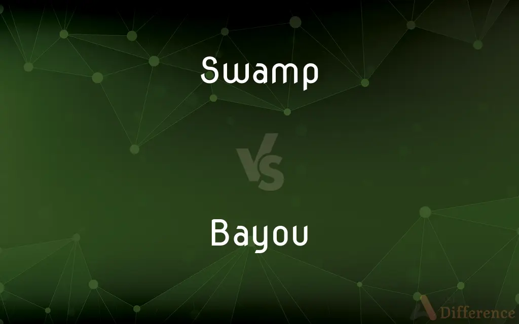 Swamp vs. Bayou — What's the Difference?