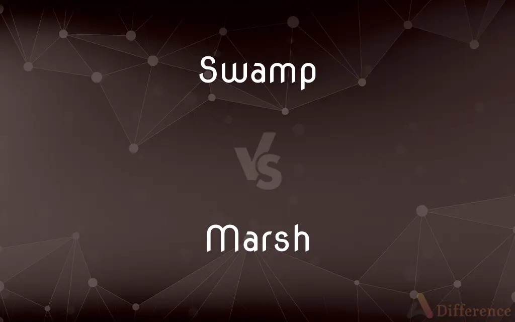 Swamp vs. Marsh — What's the Difference?