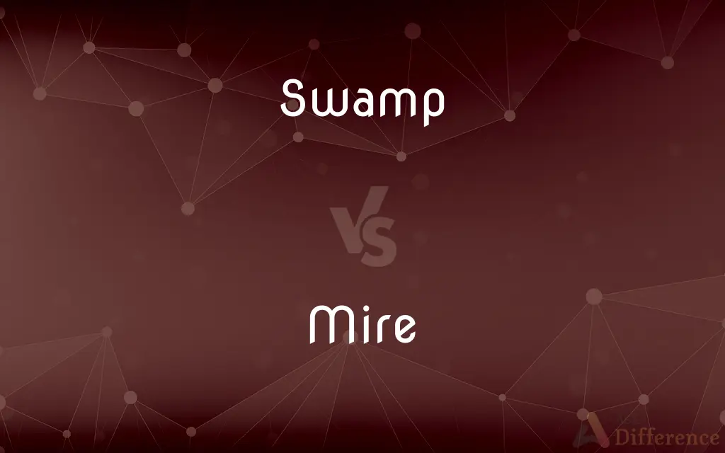 Swamp vs. Mire — What's the Difference?