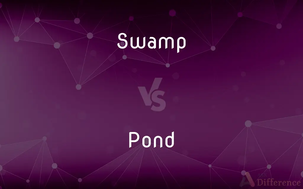 Swamp vs. Pond — What's the Difference?
