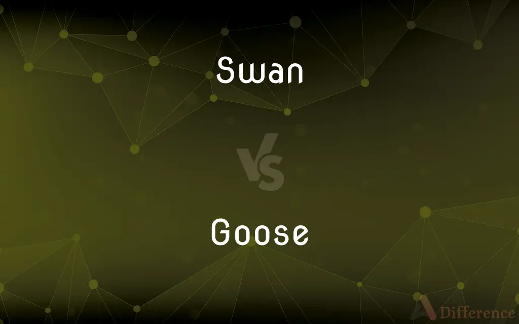 Swan vs. Goose — What's the Difference?