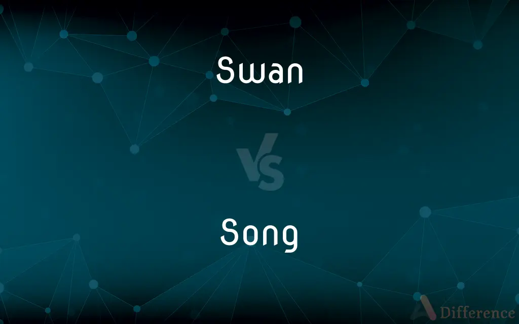 Swan vs. Song — What's the Difference?