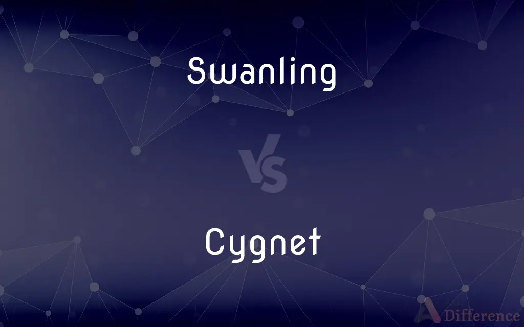 Swanling vs. Cygnet — What's the Difference?