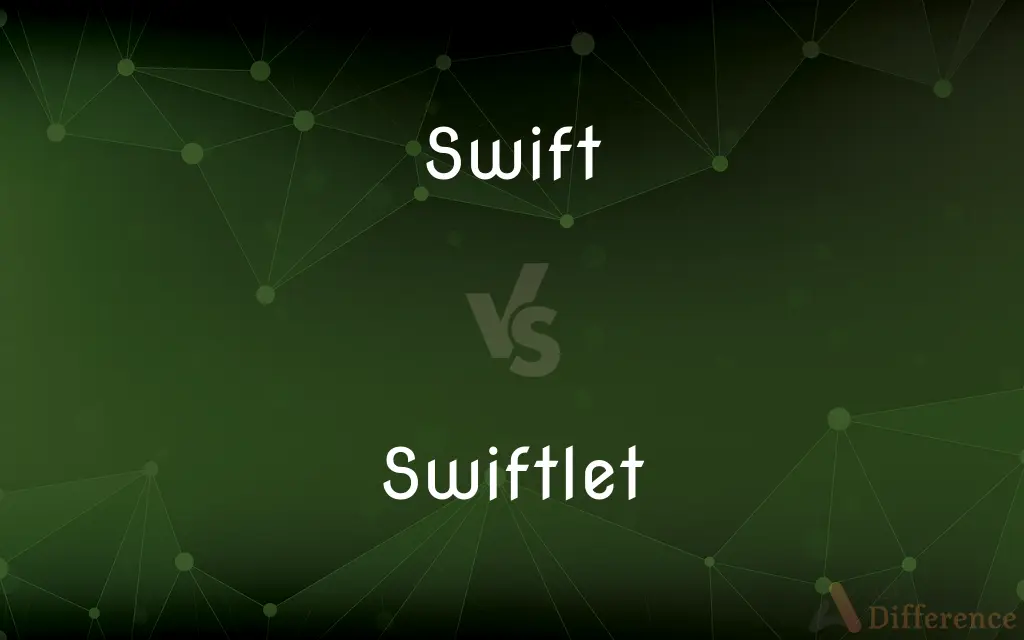 Swift vs. Swiftlet — What's the Difference?