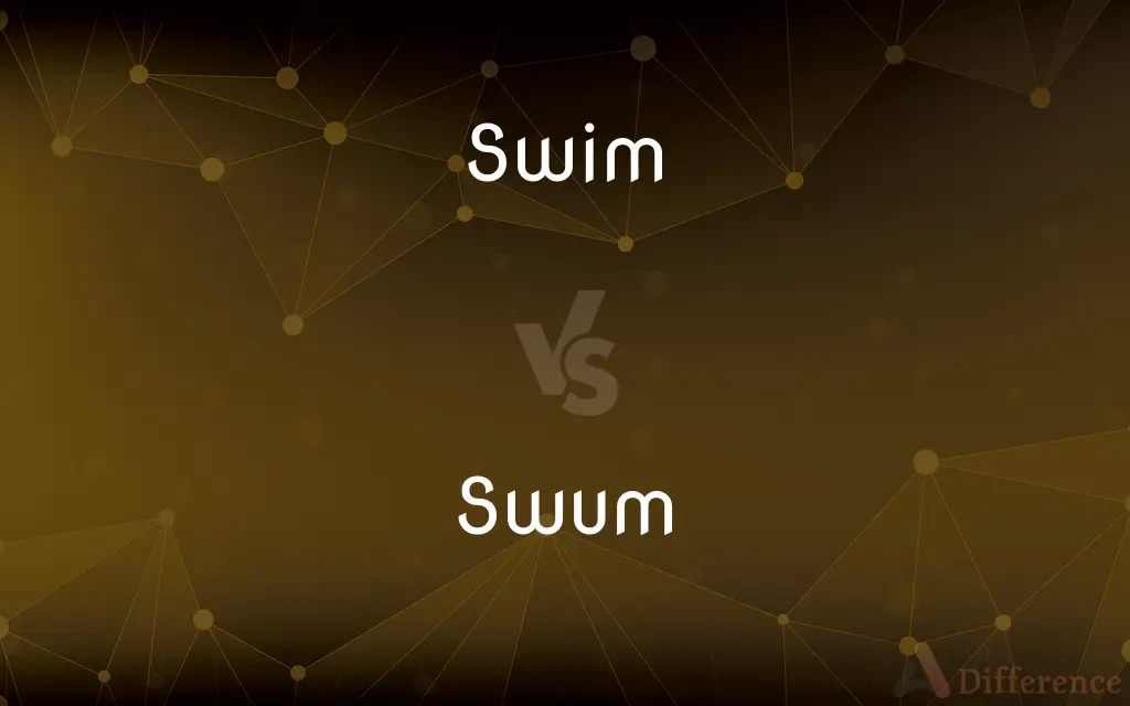 Swim vs. Swum — What's the Difference?