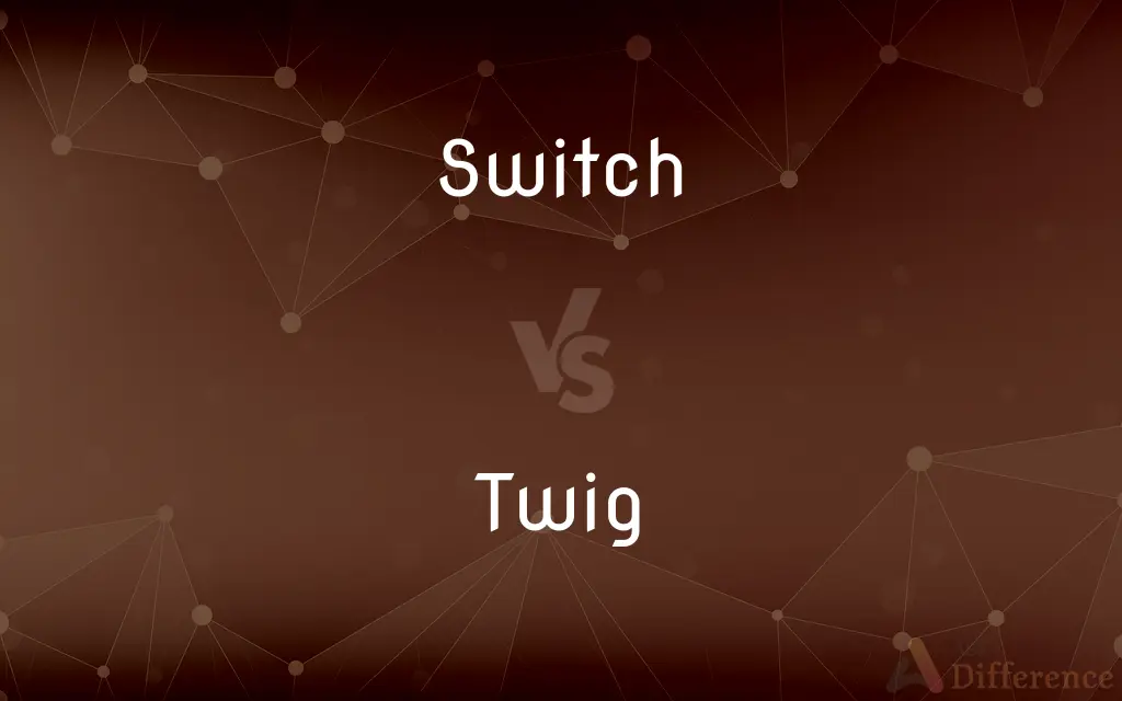 Switch vs. Twig — What's the Difference?