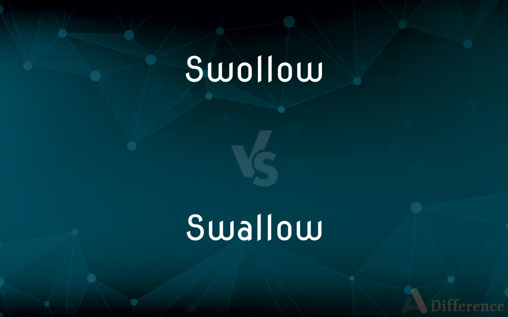 Swollow vs. Swallow — Which is Correct Spelling?