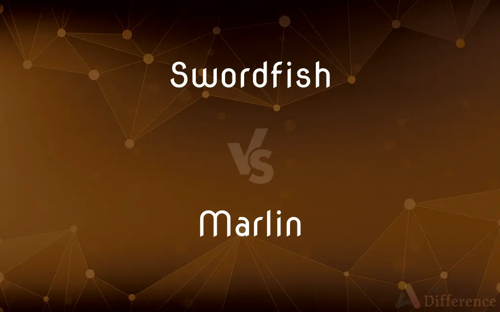 Swordfish vs. Marlin — What's the Difference?