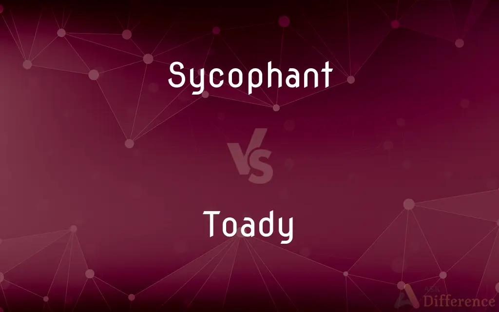 Sycophant vs. Toady — What's the Difference?