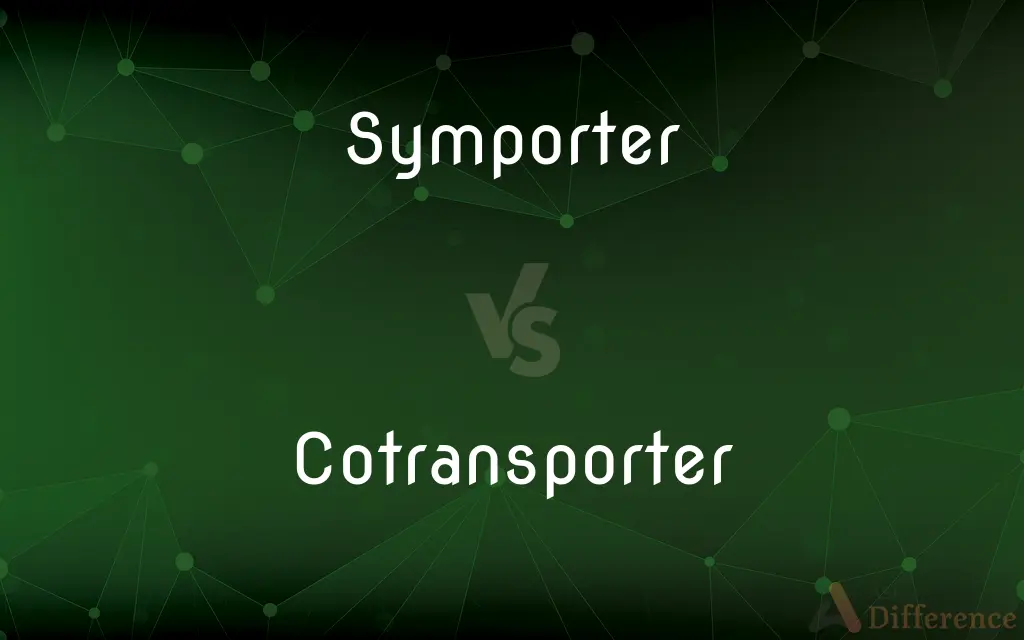 Symporter vs. Cotransporter — What's the Difference?