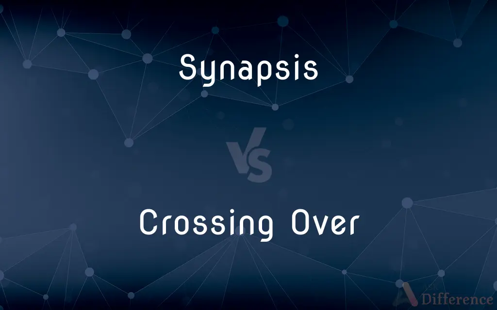 Synapsis vs. Crossing Over — What's the Difference?