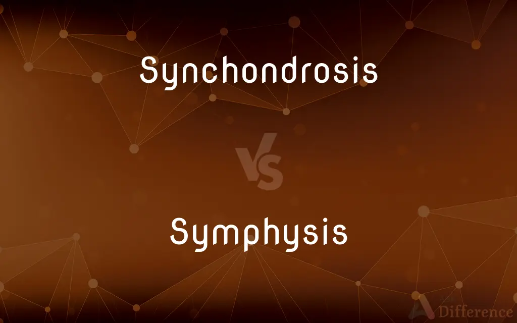 Synchondrosis vs. Symphysis — What's the Difference?