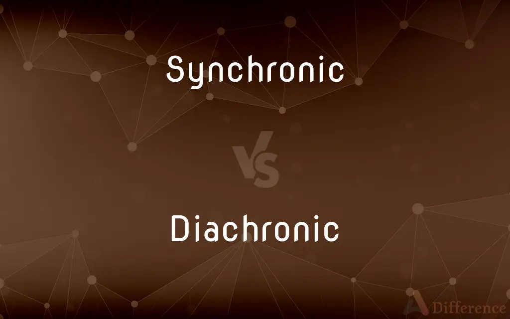 Synchronic vs. Diachronic — What's the Difference?