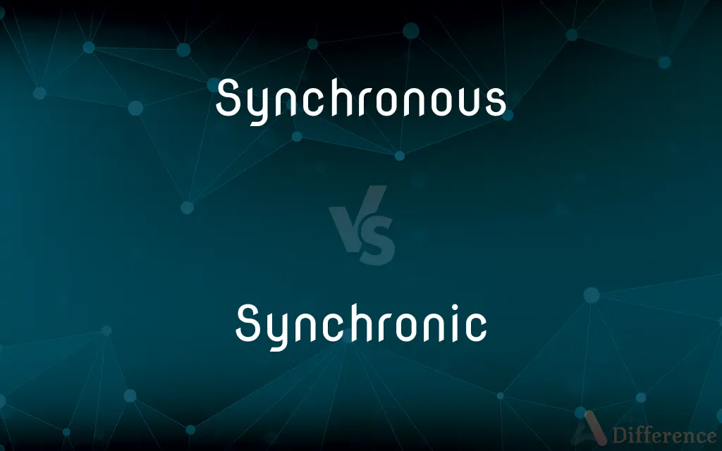 Synchronous vs. Synchronic — What's the Difference?