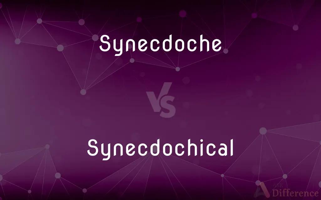 Synecdoche vs. Synecdochical — What's the Difference?