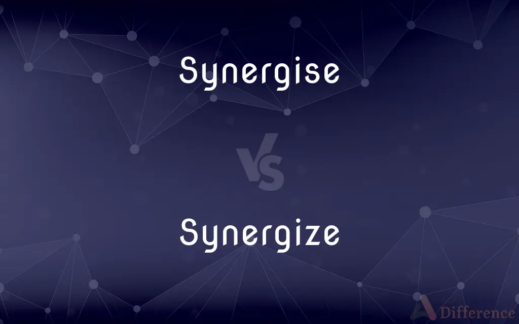 Synergise vs. Synergize — What's the Difference?