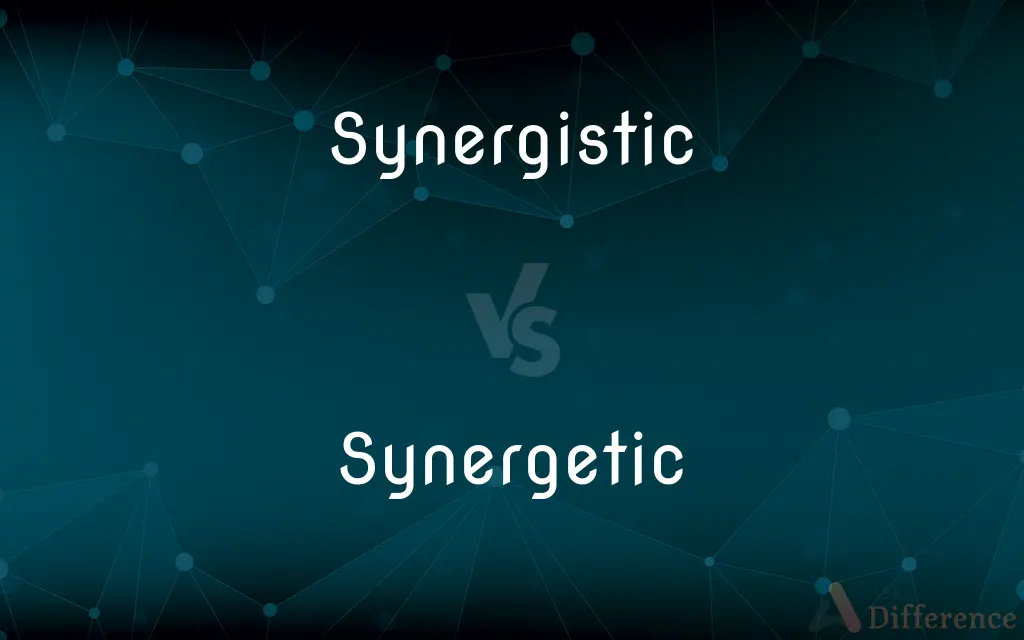 Synergistic vs. Synergetic — What's the Difference?