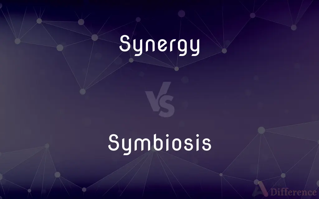 Synergy vs. Symbiosis — What's the Difference?
