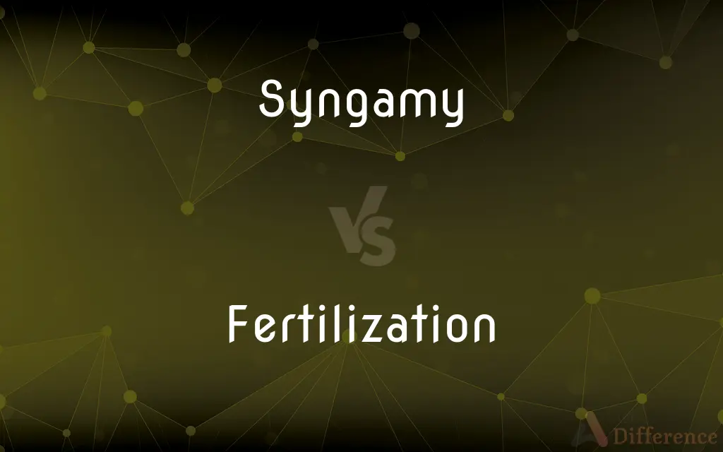 Syngamy vs. Fertilization — What's the Difference?