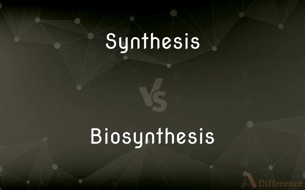 Synthesis vs. Biosynthesis — What's the Difference?
