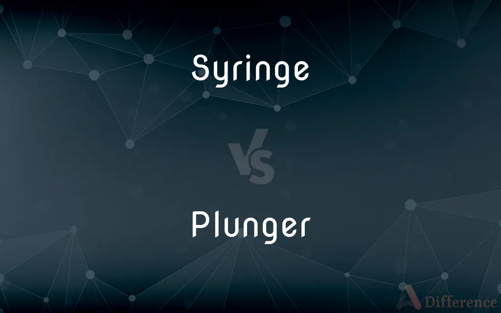 Syringe vs. Plunger — What's the Difference?