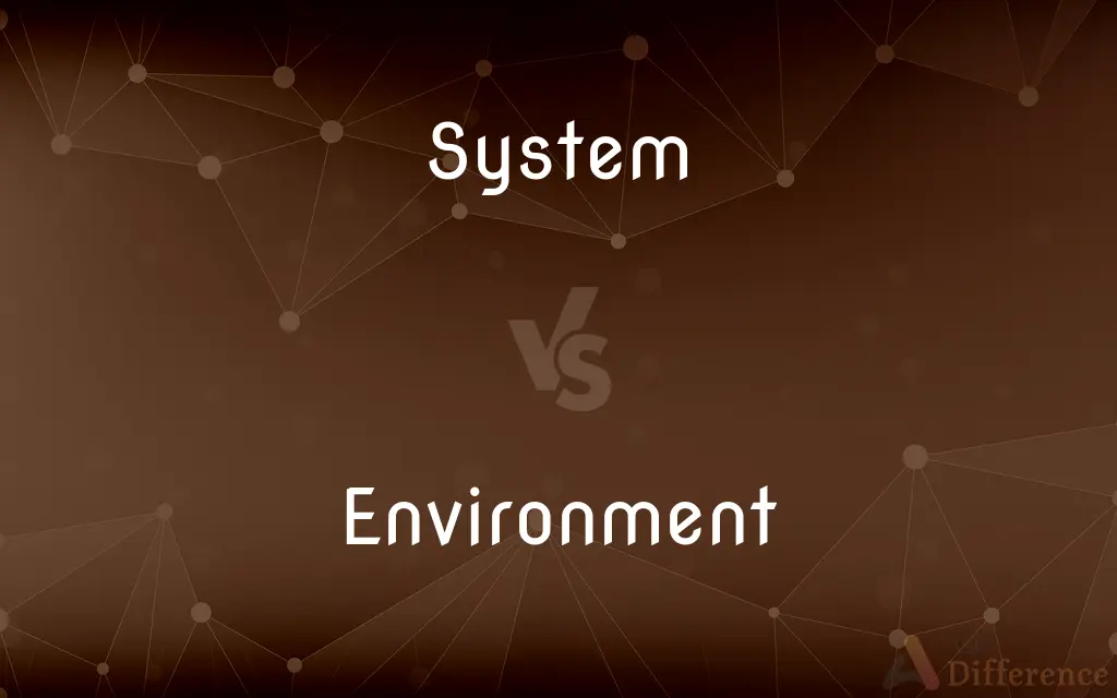 System vs. Environment — What's the Difference?
