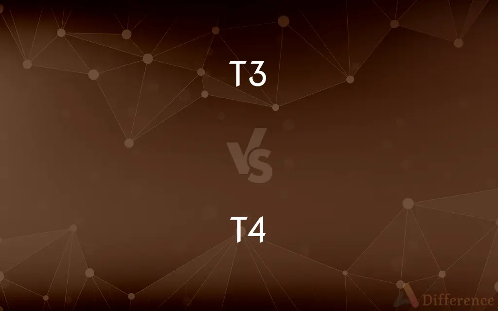 T3 vs. T4 — What's the Difference?