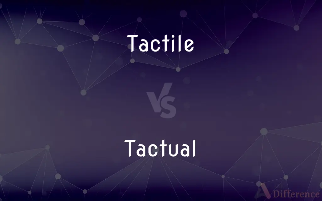 Tactile vs. Tactual — What's the Difference?