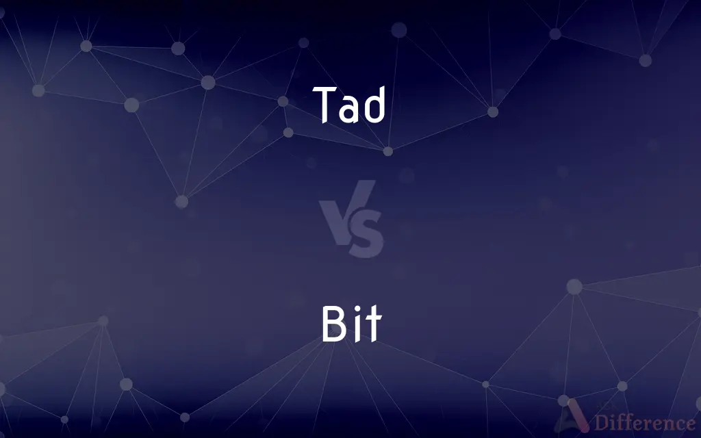 Tad vs. Bit — What's the Difference?